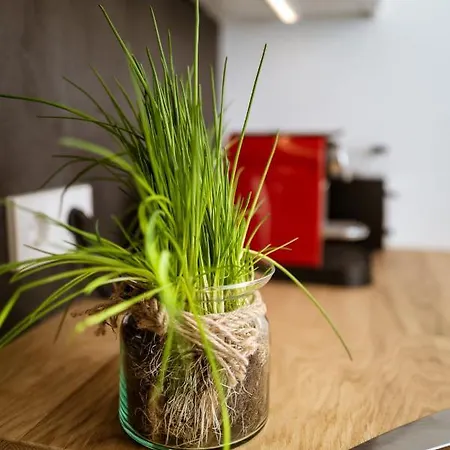 Zentrumsnahe Leipzig-apartments, Nahe Ufz Und Bmw Inkl Parkplatz Und Fahrraeder דירה