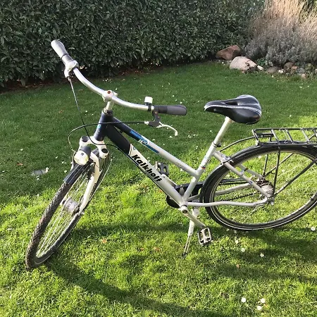 Apartment Deine Zentrumsnahen, Komfortabel Ausgestatteten Inkl Fahrrad Leipzig