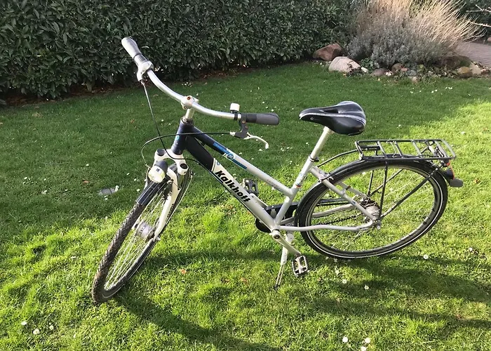 Apartment Deine Zentrumsnahen, Komfortabel Ausgestatteten Inkl Fahrrad Leipzig