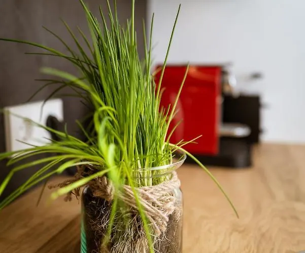 Deine Zentrumsnahen, Komfortabel Ausgestatteten Inkl Fahrrad Apartment